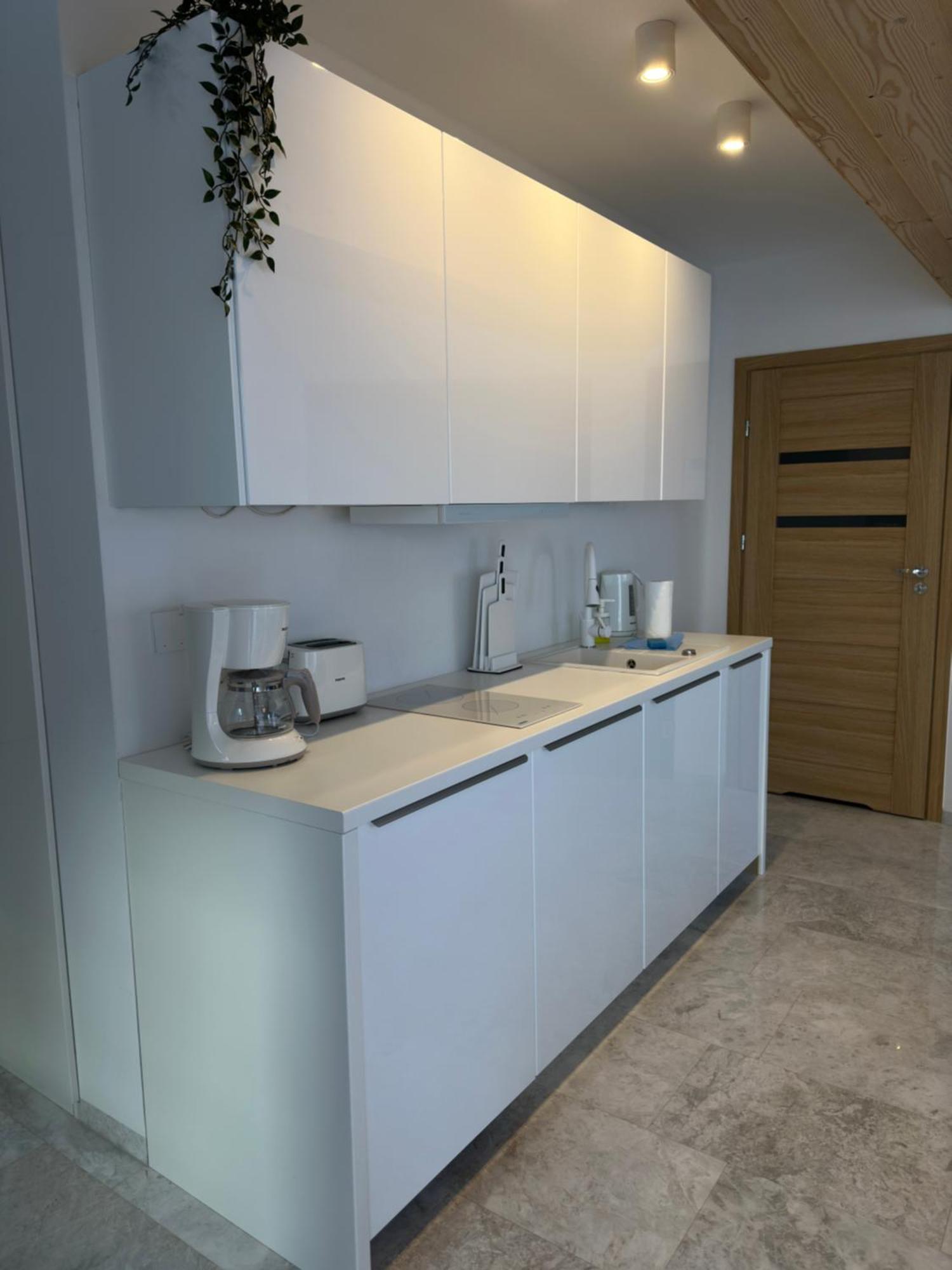 Apartamenty Willa Nika Zakopane Ngoại thất bức ảnh